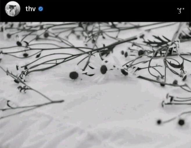 사진=뷔 인스타그램 캡처