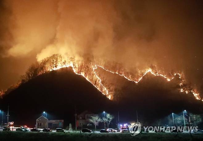 부주의로 인한 양구 산불 [연합뉴스 자료사진]