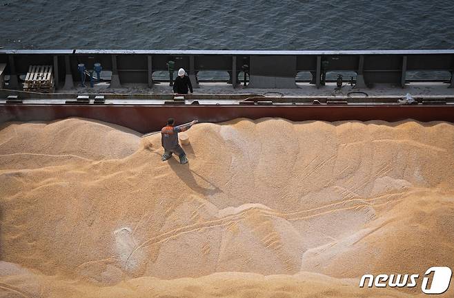 전쟁이 발발하기 전까지 우크라이나는 전 세계 밀 수출량의 8%, 옥수수 13%, 해바라기유 30%를 차지했으며 매달 450만톤에 달하는 농산물을 수출했다. © AFP=뉴스1 © News1 정윤영 기자