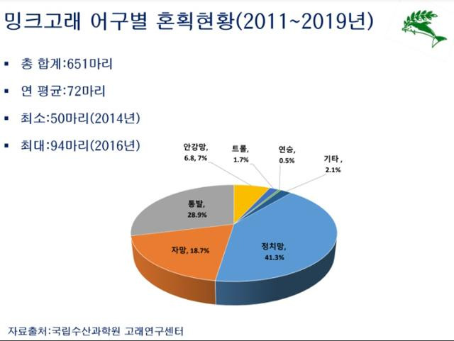 밍크고래의 어획망별 혼획 상황. 김병엽 제주대 교수 제공