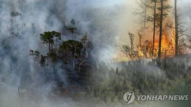 환경 문제 (CG) [연합뉴스TV 제공]