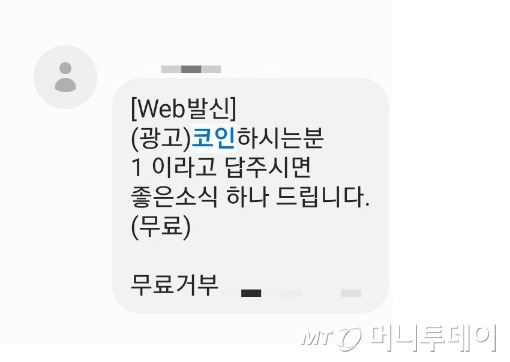 서울 강남에 거주하는 A씨(26)가 지난달 받은 코인 투자 권유 문자 메시지. /사진=독자 제공