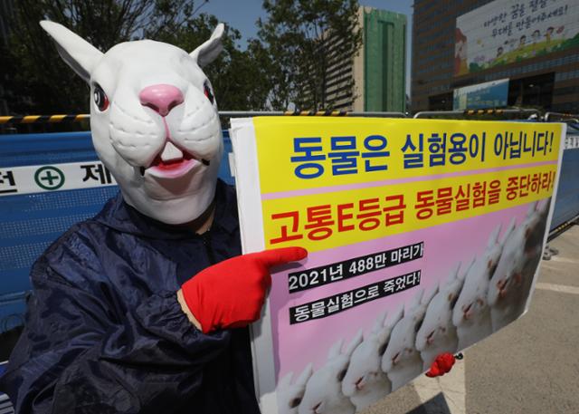 3일 오후 서울 광화문 네거리에서 한국동물보호연합 회원들이 488만 마리 동물의 비명과 죽음, 동물실험 천국을 규탄하는 기자회견을 열어 퍼포먼스를 하고 있다. 이날 기자회견에서 참석자들은 "동물은 실험용이 아니다"라며 "비윤리적 고통 E등급 동물실험 중단"을 촉구했다. 뉴스1