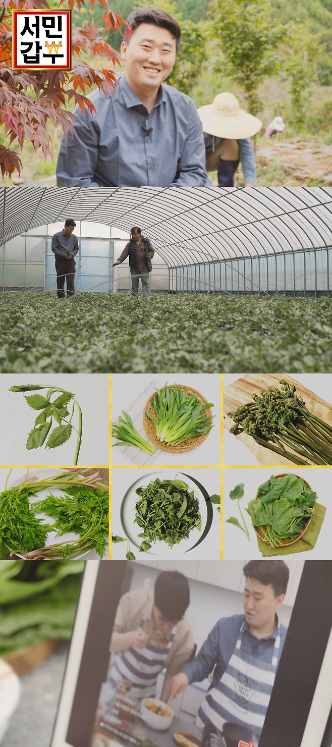 ‘서민갑부’ 제철 나물로 60억 원을 달성한 청년 CEO사연이 공개된다.사진=채널A 제공