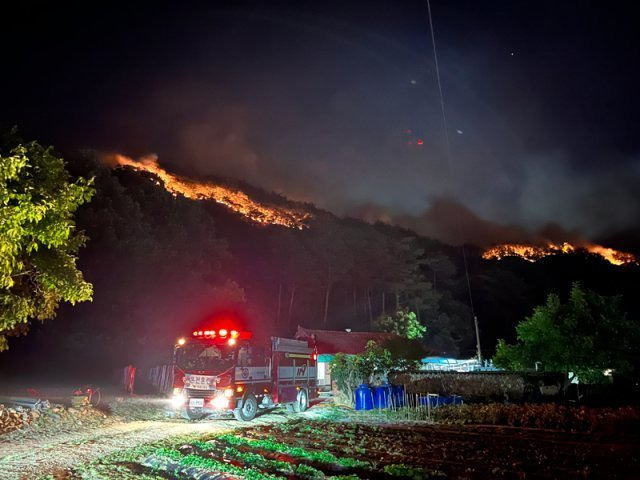 경북소방본부제공