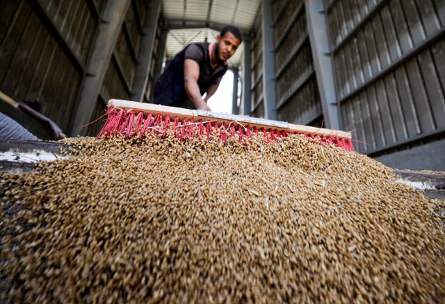 19일 이집트 알칼류비아 벤하 곡물 창고에서 한 노동자가 곡물을 모으고 있다. 알칼류비아=로이터 연합뉴스