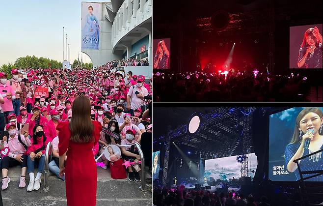 [사진 제공 : 포켓돌스튜디오]