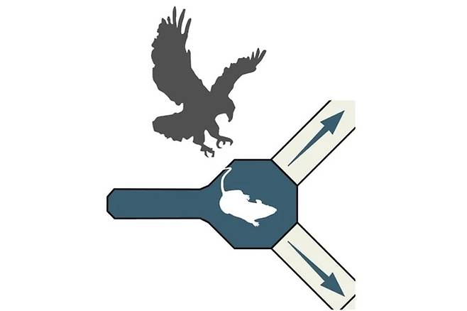 탈출경로 배우지 않은 생쥐, 독수리 피할 수 있을까 - 英 세인즈버리 웰콤연구센터 제공