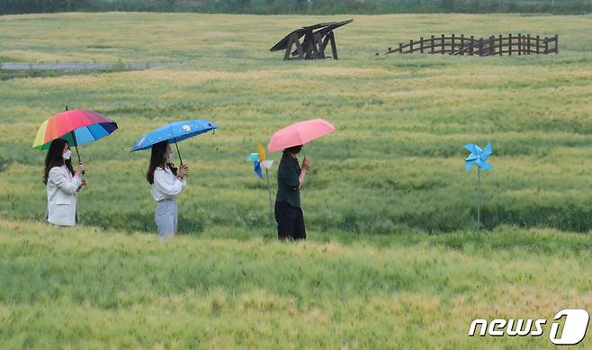 대전·충남 지역은 오후부터 흐려지다가 늦은 밤부터 비가 올 전망이다. © News1 김기태 기자