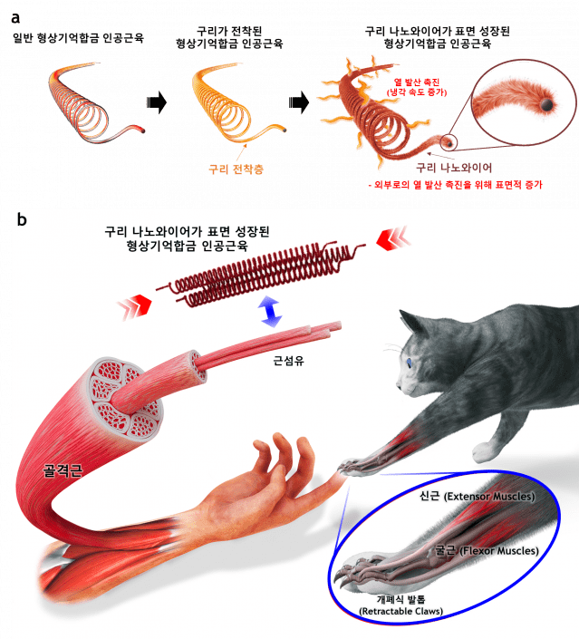 구리 나노와이어가 표면 성장된 형상기억합금 인공근육 (자료=KAIST 오일권 교수)