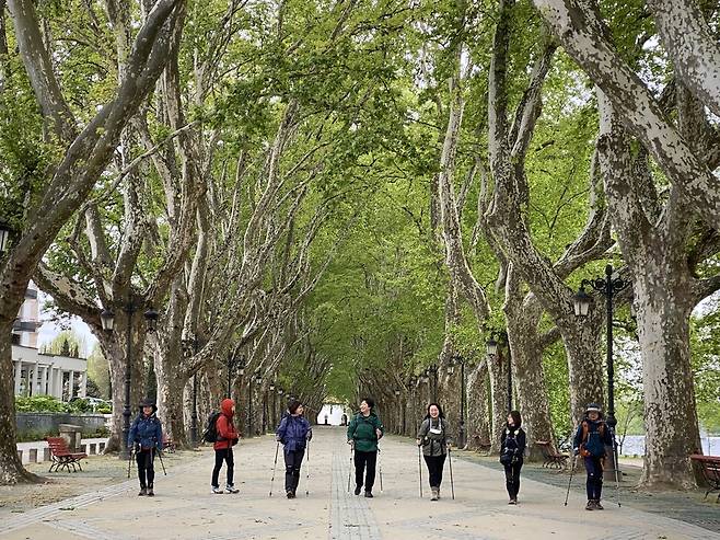폰트드리마의 가로수길을 걷는 순례자들. 김남희 제공