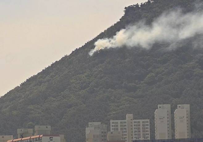 부산 영도구 봉래산에서 발생한 산불 현장. 산림청 제공
