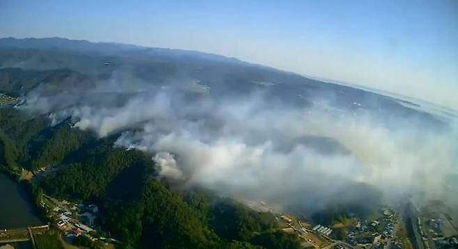 산불 현장 모습. (산림청 제공) 2022.05.29