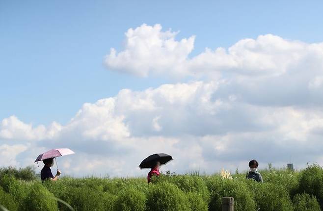 서울 마포구 상암 하늘공원에 시민들이 산책을 하고 있다.(자료사진) ⓒ데일리안 류영주 기자