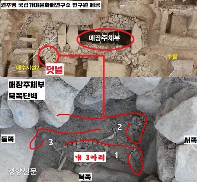 63호분 무덤 입구 쪽에 마련된 별도 공간 속에 동물유체는 확인됐다. 분석결과 개 3마리였다. 3마리 모두 무덤을 등지고 바깥을 바라보고 있었고, 해체된 흔적이 없이 온전한 모습으로 정연하게 누워있었다.