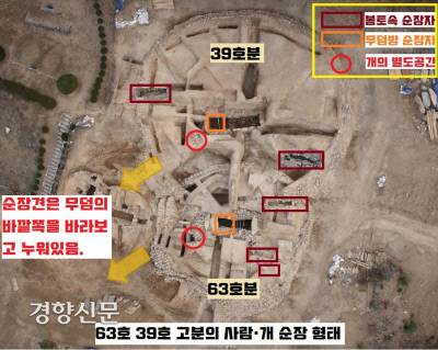 63호나 39호 고분의 특징은 무덤방 안에 순장자 2~3명을 두고, 무덤 밖 봉토 속에도 덧널과 옹관 등을 조성하여 순장자를 묻는 형식이었다. 순장견은 고분의 입구 쪽에서 바깥쪽을 바라보고 나란히 누워있었다.