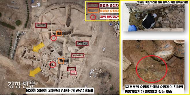 창녕 교동 63호분의 무덤방 순장공간에서는 순장자의 치아와 금동가락지가 확인됐다. 63호든, 39호든 사람과 개가 같은 공간에서 같은 취급을 받고 생짜로 ‘순장’ 당해야 하는 운명이었다.