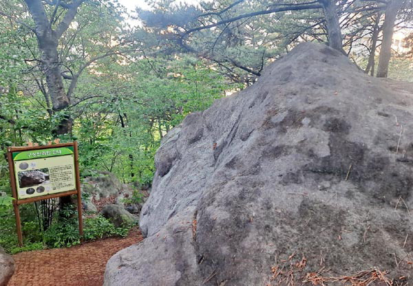 부산진구 전포동 황령산 일원의 부산국가지질공원 내 야외 구상반려암. 이들 암석은 마그마가 서서히 굳어 만들어졌다.