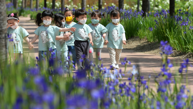 10일 경남 한 어린이집 아이들이 창포 꽃길을 걷고 있다. 연합뉴스