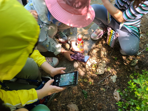 숲 해설사의 벌레 설명에 신기한 듯 카메라로 사진을 찍는 IT 세대 유아들.