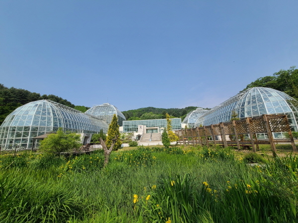열대식물 자원센터에서 다양한 열대식물을 관찰할 수 있다.