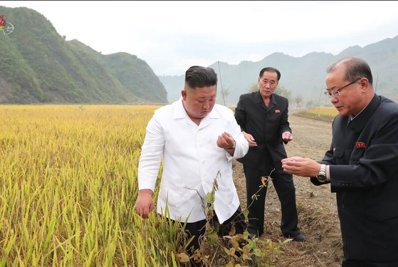 김정은 국무위원장이 지난해 10월 강원도 김화군 수해 복구 현장을 방문해 벼 낟알을 살펴보는 모습. 김 위원장은 지난해 6월 당 전원회의에서 북한내 식량부족 상황을 언급했다. 조선중앙TV 캡처, 연합뉴스