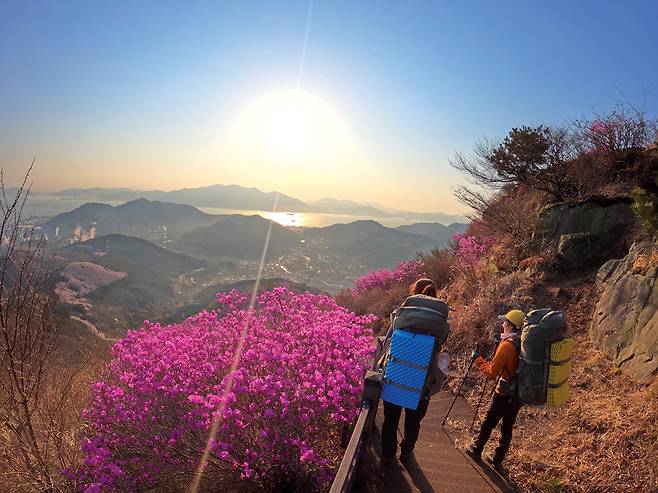 가마봉에서 골망재로 이어지는 길. 아침 햇살을 받아 빛나는 여수바다와 대조되어 핑크빛 진달래가 더욱 곱게 빛난다.