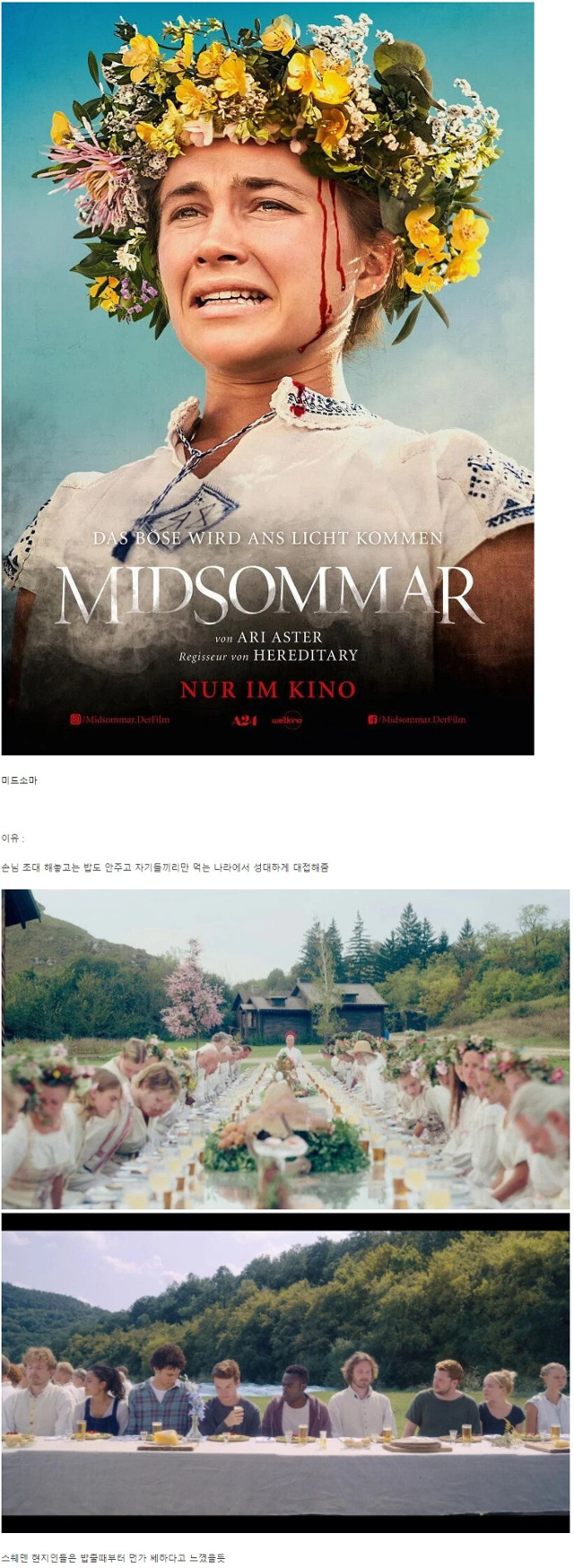 우리나라 커뮤니티에서 스웨덴게이트 밈으로 공유됐던 스웨덴 배경의 공포영화 '미드소마'(2019) 포스터와 일부 장면들. 커뮤니티 캡처