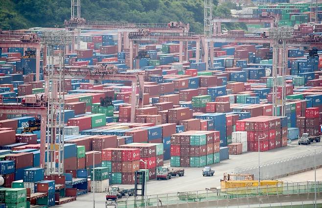 화물연대 총파업 이틀째인 8일 부산시 남구 신선대부두에 컨테이너들이 쌓여 있다. [뉴스1]