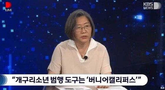 ‘개구리소년 사건’의 범행 도구가 '버니어캘리퍼스'라는 누리꾼 주장에 이수정 경기대 범죄심리학과 교수는 "굉장히 합리적인 추론"이라고 견해를 밝혔다. KBS 유튜브 캡처