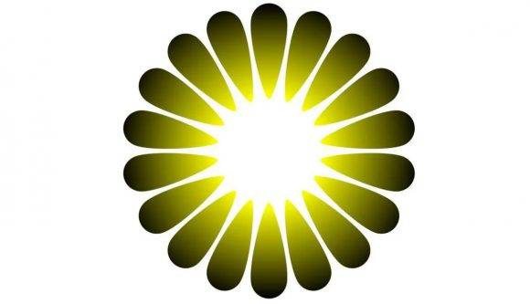 같은 흰색임에도 불구하고 꽃 모양 가운데 흰색이 바깥 흰색보다 눈부시게 느껴진다. [그림= Proceedings of the National Academy of Sciences]