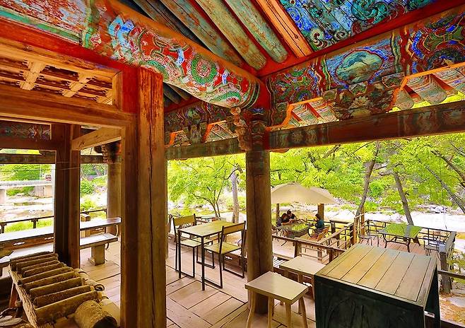 100년 된 정자가 있는 민드레울 [사진/성연재 기자]