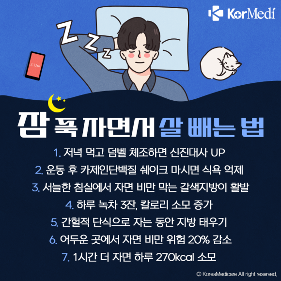 [그래픽=최소연 디자이너]