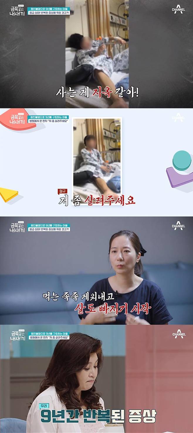 /사진=채널A' 금쪽 같은 내새끼' 방송 화면 캡처