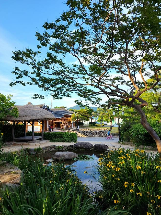 강진 사의재 정원 연못