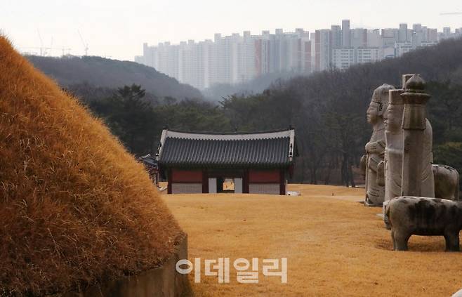 지난해 12월 오전 경기 김포시 장릉(사적 제202호)에서 검단 신도시 왕릉뷰 아파트가 보이고 있다. (사진=뉴시스)