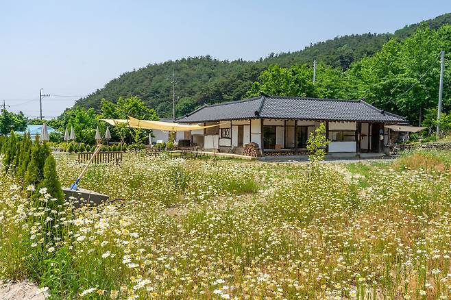 예산읍의 카페 '간양길'. 43년에 지은 낡은 한옥을 브런치 카페로 탈바꿈했다.