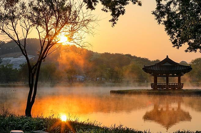 물안개 피어오르는 궁남지의 일출 [사진/진성철 기자]