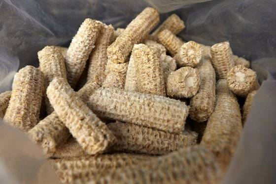 잇몸질환에 효과적인 옥수수속대.