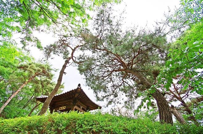 상도근린공원(국사봉) 구암정.