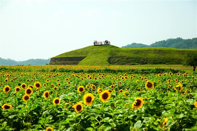 남한에서 쉽게 볼 수 없는 고구려 성곽인 연천 호로고루.연천군 제공