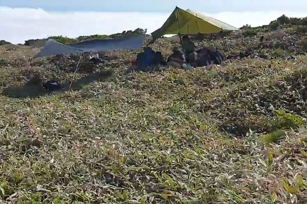 지난 18일 한라산국립공원 영실탐방로 선작지왓 부근에서 탐방객들이 그늘막을 설치, 불법야영을 준비하고 있는 모습. /한라산국립공원.