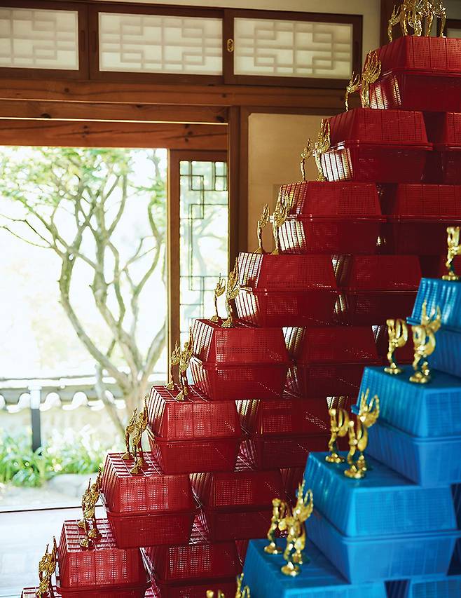 ‘나의 아름다운 21세기, 성형의 봄’.