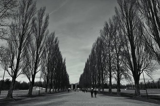 다하우 강제수용소는 1933년 나치 독일이 최초로 세운 강제수용소다. 수용소 건립 당시에도 주변 건물보다 컸던 나무들은 지금은 10층 건물보다 더 높이 자라 수용소를 내려다보고 있었다. 2019년 3월3일 흑백으로 기록했다. 뮌헨/김봉규 선임기자