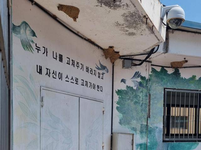병원에 적힌 문구로 적당한가. 국립법무병원(충남 공주 치료감호소) 내부 운동장 한편에 '누가 나를 고쳐주기 바라지 말고 내 자신이 스스로 고쳐가야 한다'는 문구가 적혀 있다. 구금시설이자 정신 의료기관인 이곳은 병동만 봐서는 일견 일반 대학병원과 닮아 있지만, 수용자들의 관리·감독을 위해 곳곳에 폐쇄회로(CC)TV가 설치돼 있다. 공주=최나실 기자