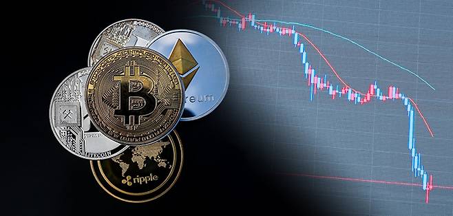 [Graphics by Song Ji-yoon]