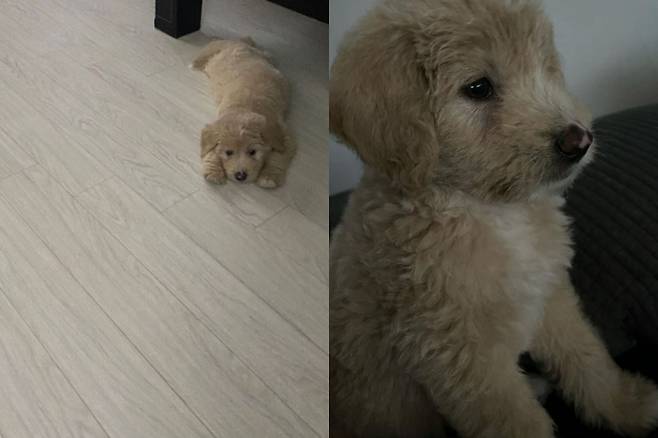 /사진=권민아 인스타그램 캡처