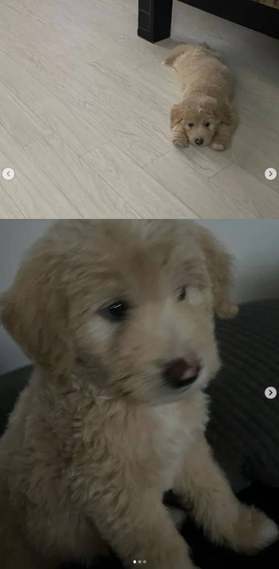 /사진=권민아 인스타그램