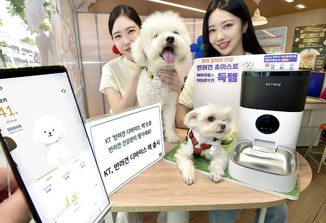 　◇KT에서 출시한 '반려견 디바이스 팩'. 사진제공=KT