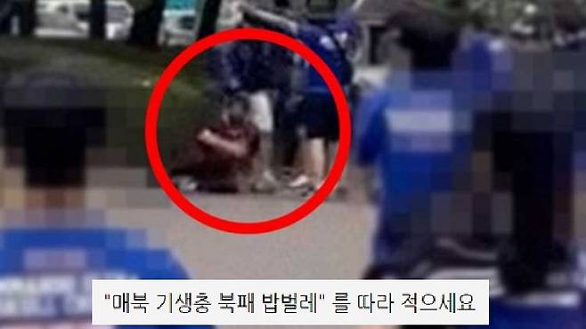 /사진=온라인 커뮤니티, 프렌테트리콜로 홈페이지